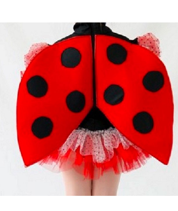 464-Ali-Coccinella Ladybug Wings - Image 1